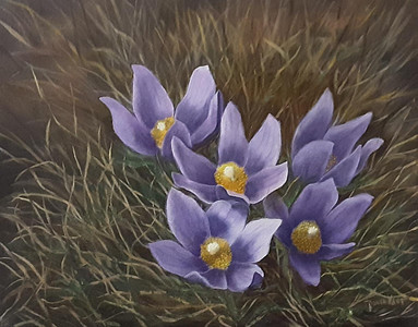 Crocus Blossoms 2