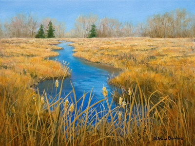 Tranquil Marsh