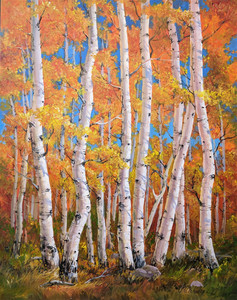 Aspen Grove