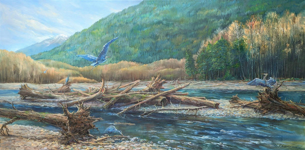 Chilliwack River Blue Herons Fest