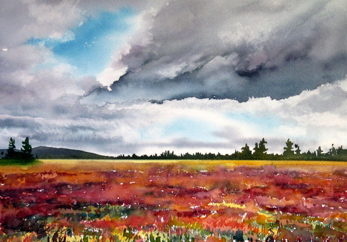 BLUEBERRY FIELDS FOREVER, Parrsboro, NS