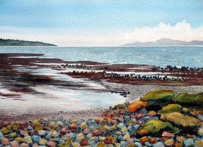 BUSTLING BEACH, Point Grey Foreshore, Vancouver BC