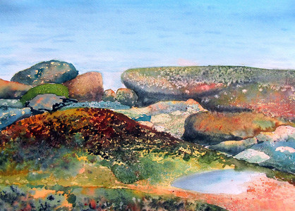 ROCKWEED CONFERENCE,  Point Grey Foreshore, Vancouver BC