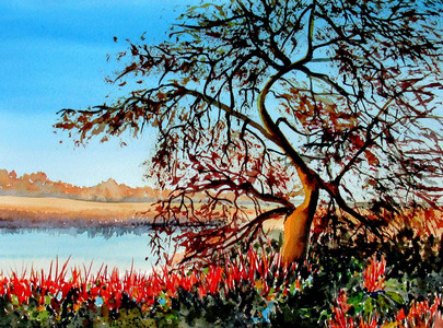 ACROBAT, Jericho Park, Vancouver BC