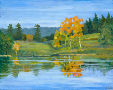 Mission Ponds-150 Mile House