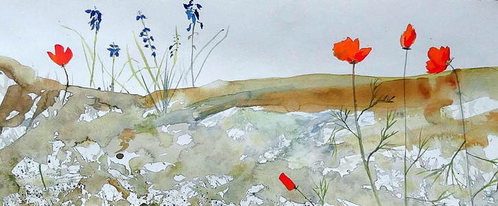 Natures Garden