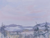 View #1