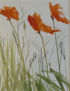 Poppies Waving