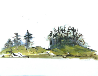 Jesse Island - Nanaimo