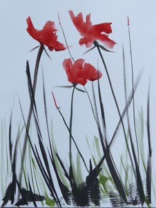 Poppies Swaying