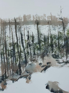 Mount Paulson Summit 5000+'