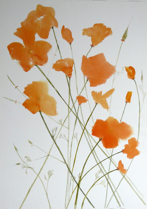 Hillside Poppies