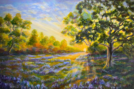Camus Lilies at Sunrise