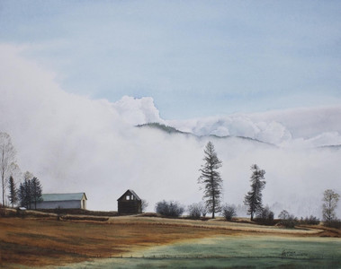 Heavy Mist at Hampstead Ranch