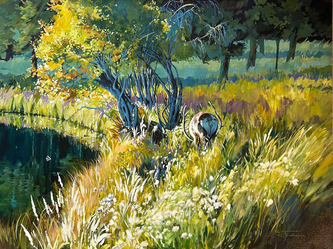 Under The Willows