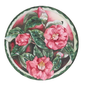 Camelias