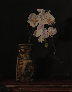 Orchids in White