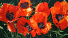 View #1