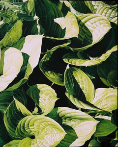 Whirlpools - Hosta