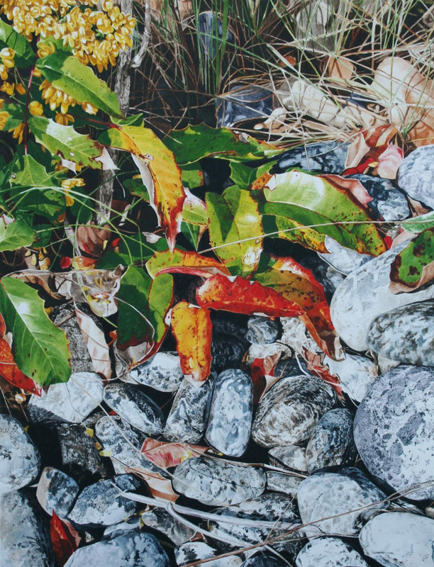 Shore Rocks & Oregon Grape