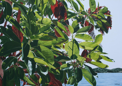 Headland at Becher Bay - Arbutus