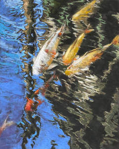 Reflections on a Koi Pond