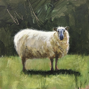Ballyvaughan Sheep