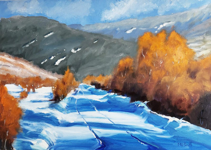 Back Country Travels