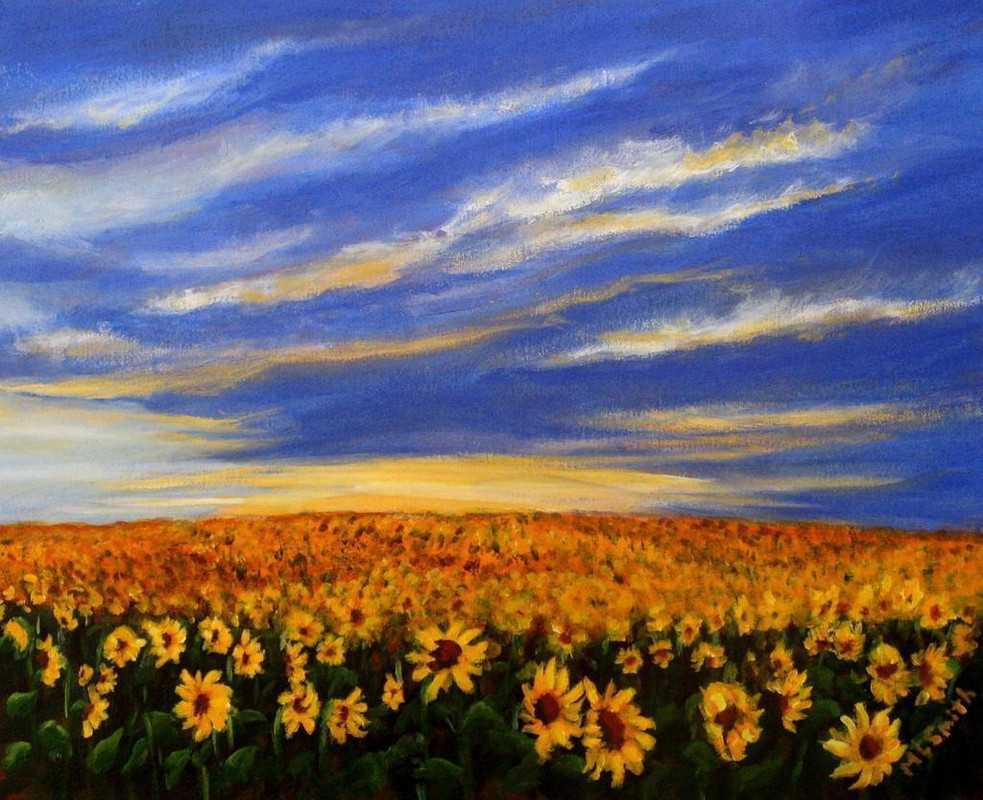 Fields of Sunshine
