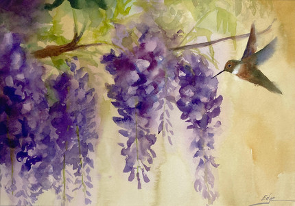 Wisteria