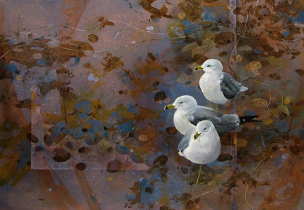 A Fine Balance / Ring-Billed Gulls