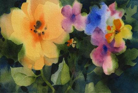 Pansy