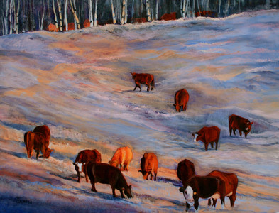 Cows on Frost