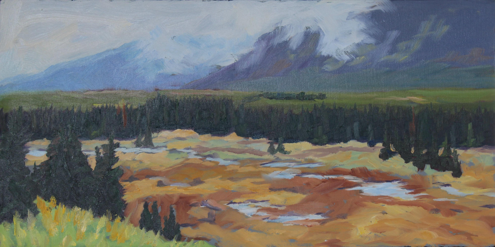 Moose Country