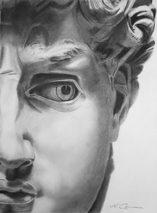 Face of David