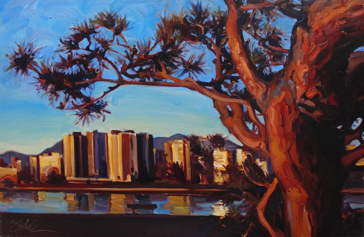 "A Twisted Pine, Sun Setting on Vancouver"