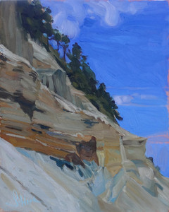 "Lily Point Cliff-Face", Pt. Roberts, WA