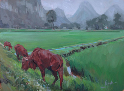 "Grazing Amongst The Rice Fields"