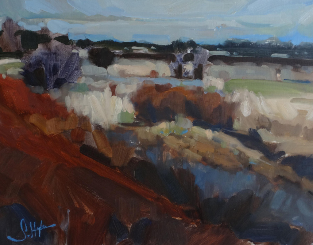 A Collection of Colours, Mud Bay Park