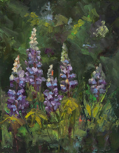 Garden Lupines