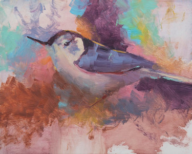 White Breasted Nuthatch