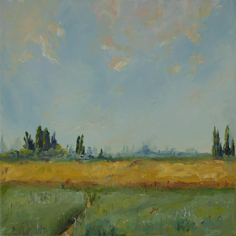 Hespero Canola