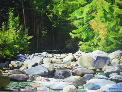 Lynn Creek in Sunshine