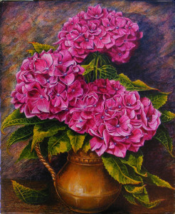 hydrangeas