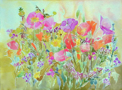 The Wildflower Garden