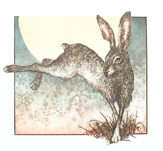 Hare Today, Gone Tomorrow