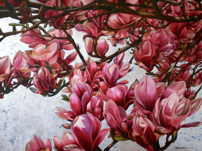 Magnolia Grandeur