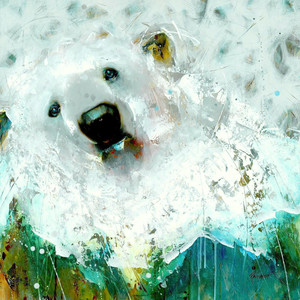 Snow Bear