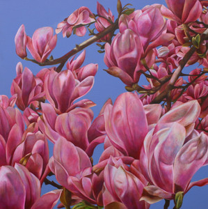 Glorious Magnolias