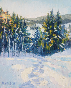 Winter Evening, Snowshoe Trails